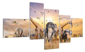 Obraz - safari (150x85cm)