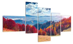 Obraz podzimní přírody (150x85cm)