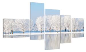 Obraz - zimní příroda (150x85cm)