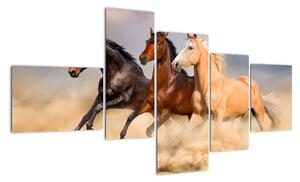 Moderní obraz koní (150x85cm)