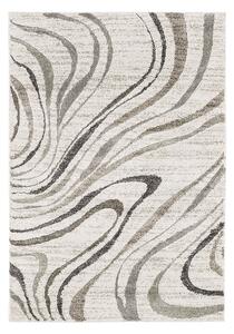 Oriental Weavers Kusový koberec Castro Carved 162/NQ2W - 67x120 cm