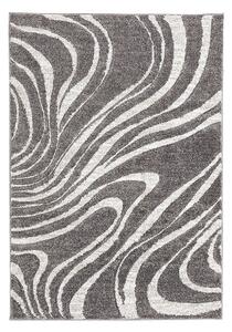 Oriental Weavers Kusový koberec Castro Carved 162/NQ2F - 67x120 cm