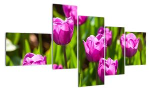 Obraz kvetoucích tulipánů (150x85cm)