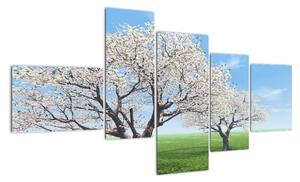 Obraz kvetoucího stromu na jarní louce (150x85cm)
