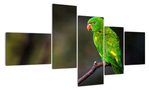 Obraz zeleného papouška (150x85cm)