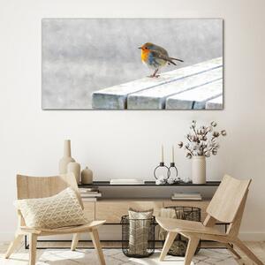 Obraz na skle Obraz na skle Abstraktní zvířecí pták sníh
