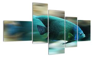Obraz na stenu - ryby (150x85cm)