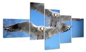 Obraz do bytu - ptáci (150x85cm)