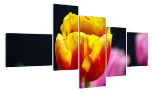 Obraz tulipánu (150x85cm)