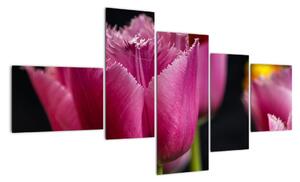 Tulipány - obrazy (150x85cm)
