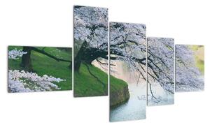 Obraz kvetoucích stromů (150x85cm)