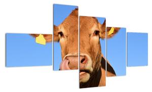 Obraz krávy (150x85cm)