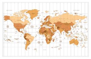 Tapeta béžová mapa světa na světlém pozadí