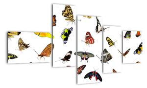 Obrazy motýlů (150x85cm)