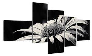 Černobílý obraz květu (150x85cm)