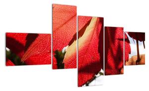 Obraz červených listů (150x85cm)