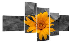 Obraz oranžového květu (150x85cm)