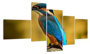 Obraz - barevný pták (150x85cm)