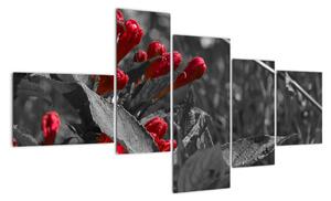 Červené květy - moderní obrazy (150x85cm)