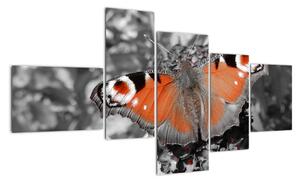 Oranžový motýl - obraz (150x85cm)