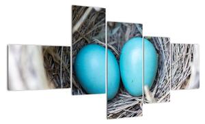 Obraz modrých vajíček v hnízdě (150x85cm)