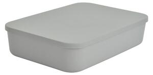 Šedý plastový úložný box s víkem 35,5x25,5x8 cm – Homéa