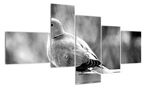 Černobílý obraz ptáka (150x85cm)