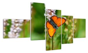 Moderní obraz motýla na louce (150x85cm)