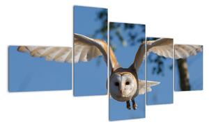 Obraz letící sovy (150x85cm)