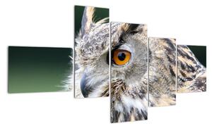 Vyhlížející sova - obraz (150x85cm)