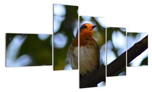 Obraz ptáka na větvi (150x85cm)