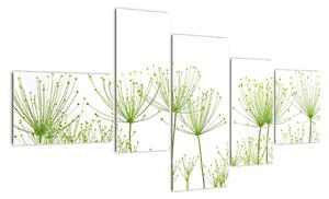 Obraz rostlin na bílém pozadí (150x85cm)