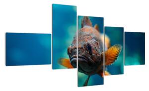 Obraz - ryba (150x85cm)