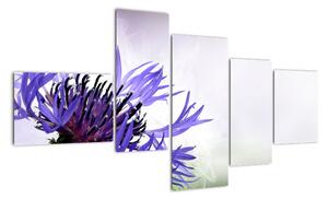 Obraz fialového květu (150x85cm)