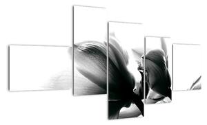 Obraz černobílých květů (150x85cm)