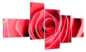 Obraz červené růže (150x85cm)