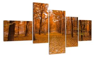 Obraz lesní cesty (150x85cm)