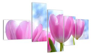 Obraz růžových tulipánů (150x85cm)