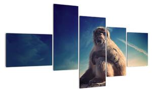 Obraz opice - obrazy zvířat (150x85cm)