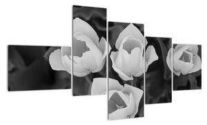 Černobílé květy (150x85cm)