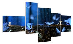 Obraz - modří motýli (150x85cm)