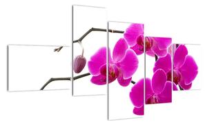 Obraz orchidejí na zeď (150x85cm)