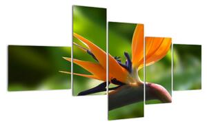 Detail květu - obraz (150x85cm)