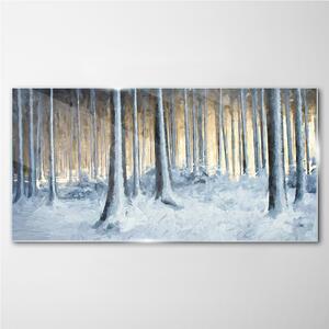 Obraz na skle Obraz na skle Abstrakce zimní sen příroda