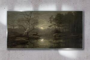 Obraz na skle Obraz na skle Měsíc strom přírodní řeka