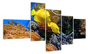 Podmořský svět - obraz (150x85cm)