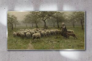 Obraz na skle Obraz na skle Rustikální strom ovce ovce