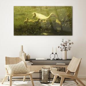 Obraz na skle Obraz na skle Zvířata kachna tráva příroda