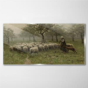 Obraz na skle Obraz na skle Rustikální strom ovce ovce