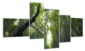 Obraz lesů (150x85cm)